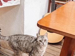 -甲乙丁書店·书茶咖·四合院