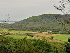 -风云岭森林公园