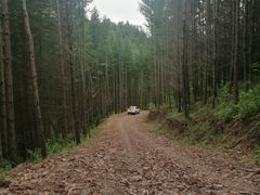 -塞罕坝国家级自然保护区