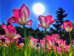 -长春公园(普阳街道)