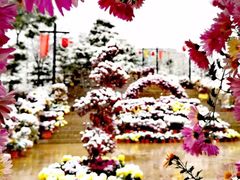 -竹泉村旅游度假区