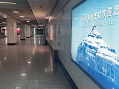 -杨高南路(地铁站)