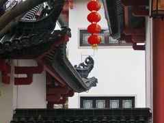 -广东花都湖国家湿地公园