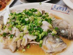 香葱淋鲈鱼-粤·向群饭店(龙津东路总店)