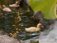 -伴山茶苑·围炉煮茶