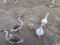 -长春市南湖公园