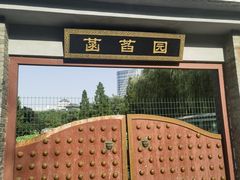 -莲花池公园