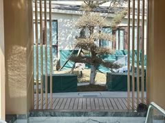 -静之湖度假区