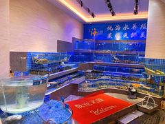 水产区-青蓬海上捞蒸品海鲜城(海岸城店)