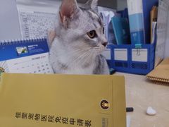 -佳雯宠物医院(信河分店)
