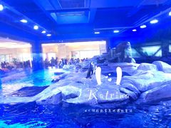 游乐设施-上海海昌海洋公园