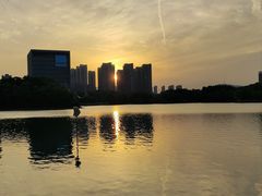 -天鹅湖体育公园