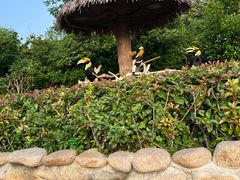 -上海野生动物园