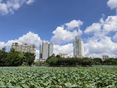 -荔湾湖公园