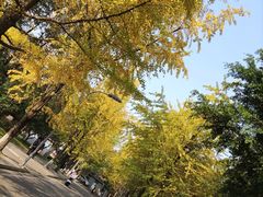 -四川大学(望江校区)