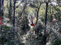 -WeLope紫金山探险公园