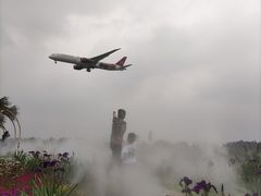 -空港花田景区
