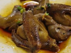 -百利鸽王(紫薇路店)