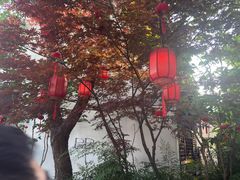 -苏城小院·园林精致苏州菜(斜塘老街店)