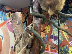 -正佳雨林生态植物园