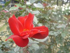 -人民公园(罗湖区)