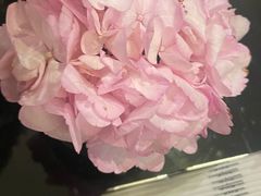 -行者书屋大堂吧 ·下午茶(南京圣和府邸酒店)