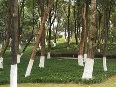 -重庆市江北嘴中央商务区中央公园