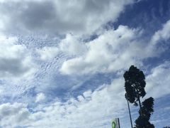 -布里斯班南岸公园