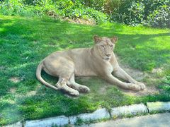 -北京野生动物园