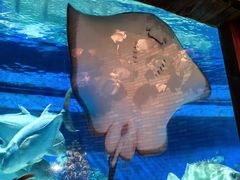 -成都浩海立方海洋公园