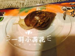 -萌宠奇缘