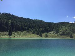 -武陵山森林公园