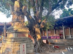 -福州开元寺