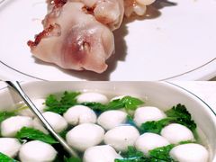 -丁老爷子苏香圆