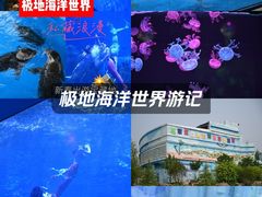 -石家庄极地海洋世界