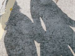 -福建土楼·永定景区-侨福楼