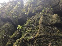 -山王坪喀斯特国家生态公园