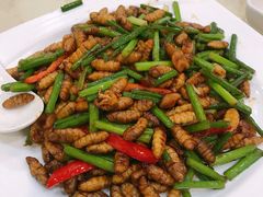 -九大簋家宴(北京路店)