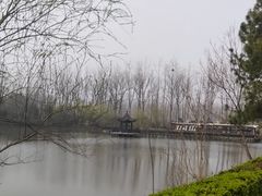 -合肥滨湖国家森林公园