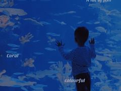 -多彩贵州城极地海洋世界