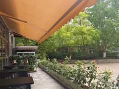 -东哥紫阳蒸盆子(旺座·现代城店)