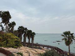 -东山风动石景区