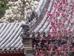 -潭柘寺景区