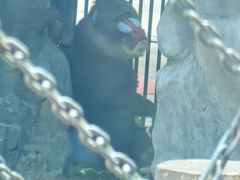 -鄂尔多斯野生动物园