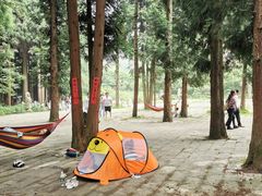 -武陵山森林公园