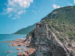 -杨梅坑