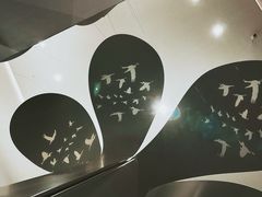 -中国湿地博物馆