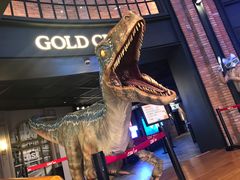 -CGV影城(壹方城IMAX店)