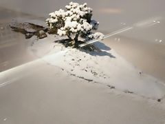 -水悦汇