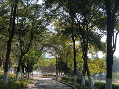 -东莞植物园
